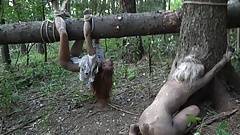 Horror pornó az erdőben